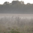 26875185755_ba7c9f0853_b