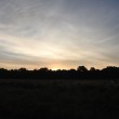 26875182535_a71d342c96_b