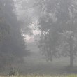 26840948146_7edf95ed8c_b